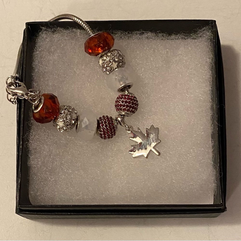 NEW European & Canadian themed charms on a snake chain bracelet